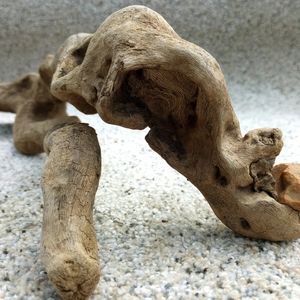 Unique Drift Wood Terrarium Aquarium Decor Crafts Taxidermy